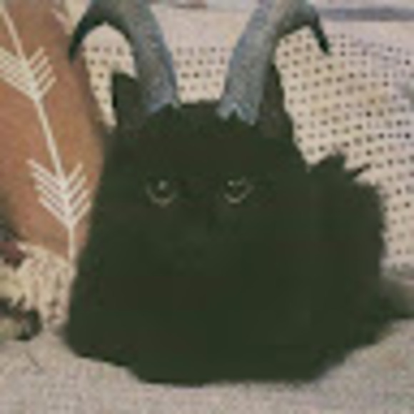 Meet your Posher, Alex - Picture 1 of 1